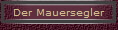 Der Mauersegler