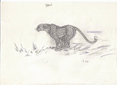 Gepard