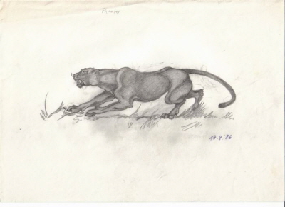 Panther